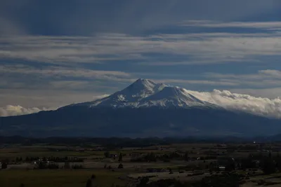 DSC_6773 (Large).JPG